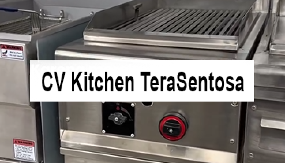 Gas Charcoal Grill